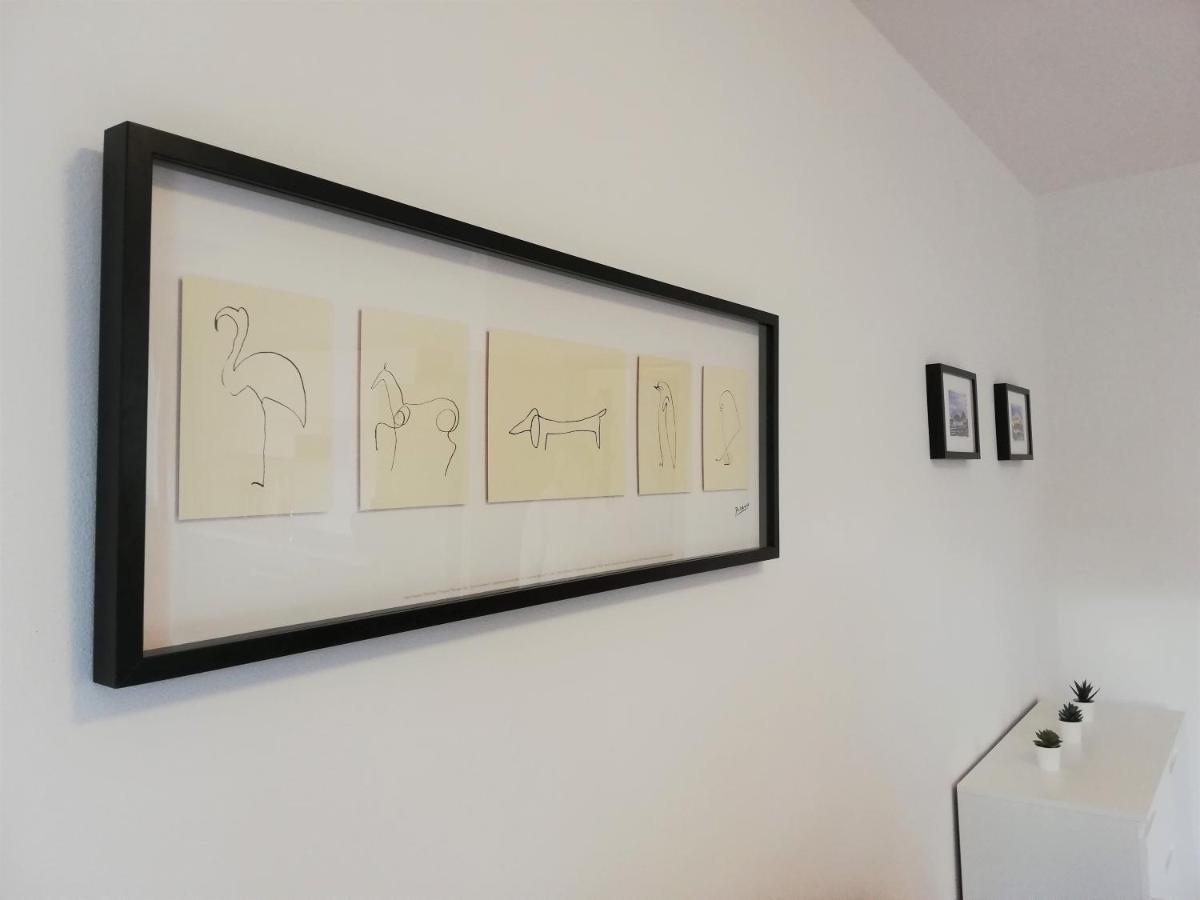 Apartment Punta Premantura E With Garden エクステリア 写真